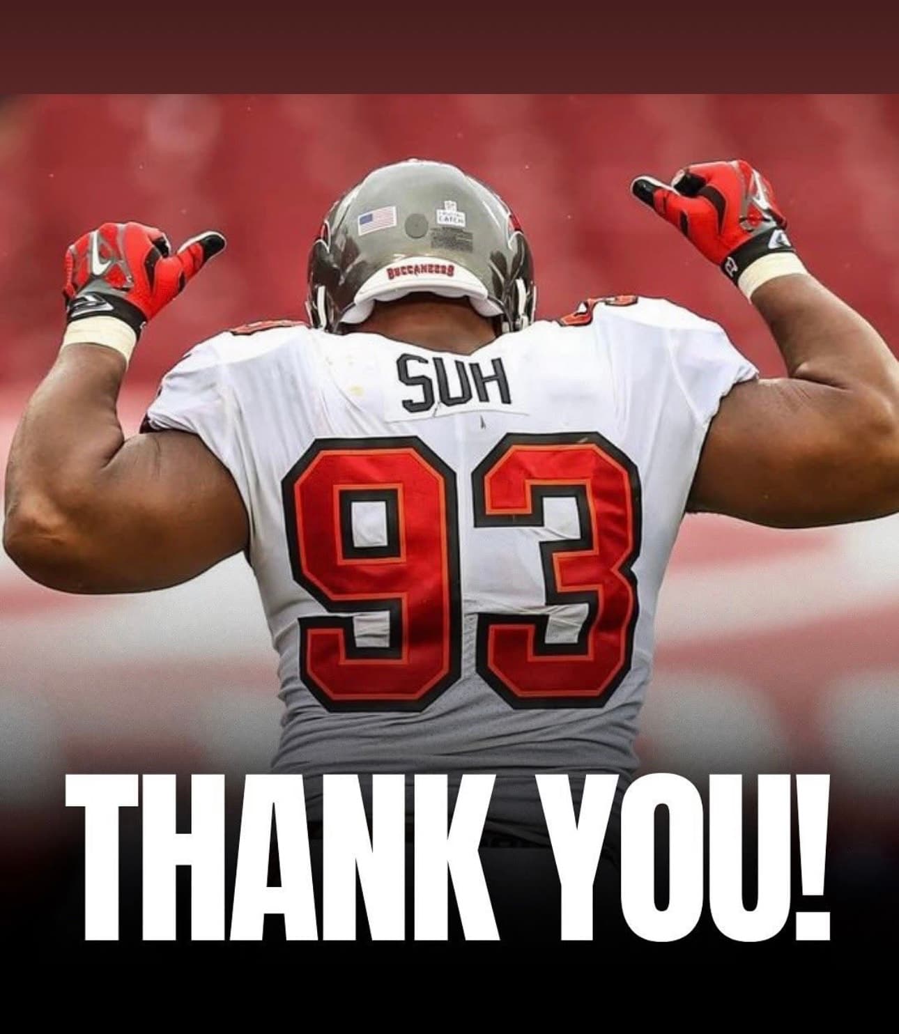 Suh Retires From NFL